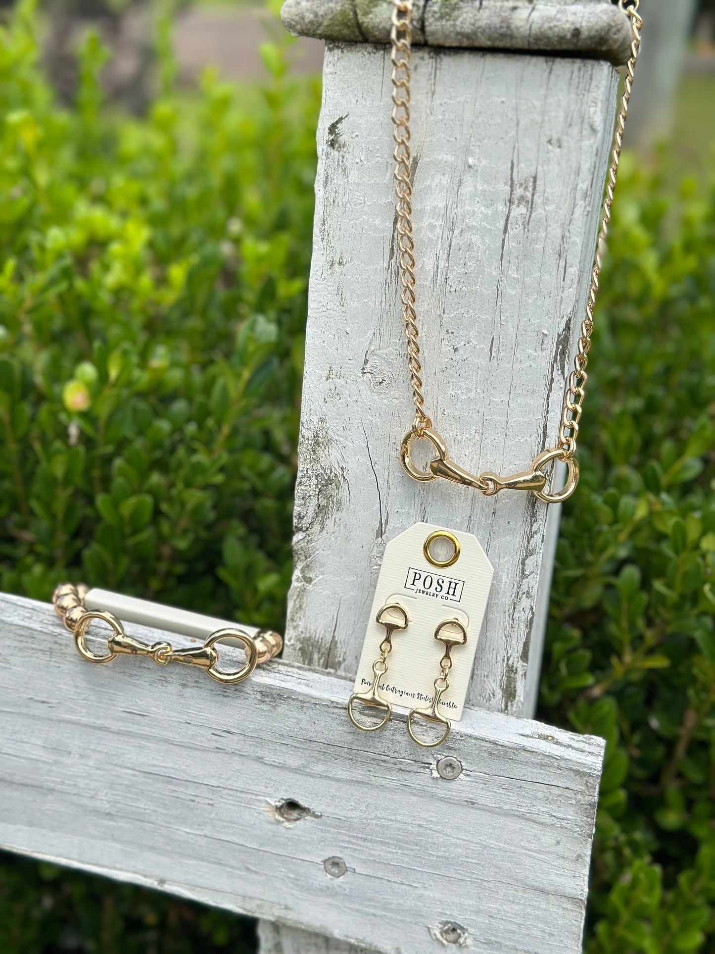 Snaffle Bit Collection
