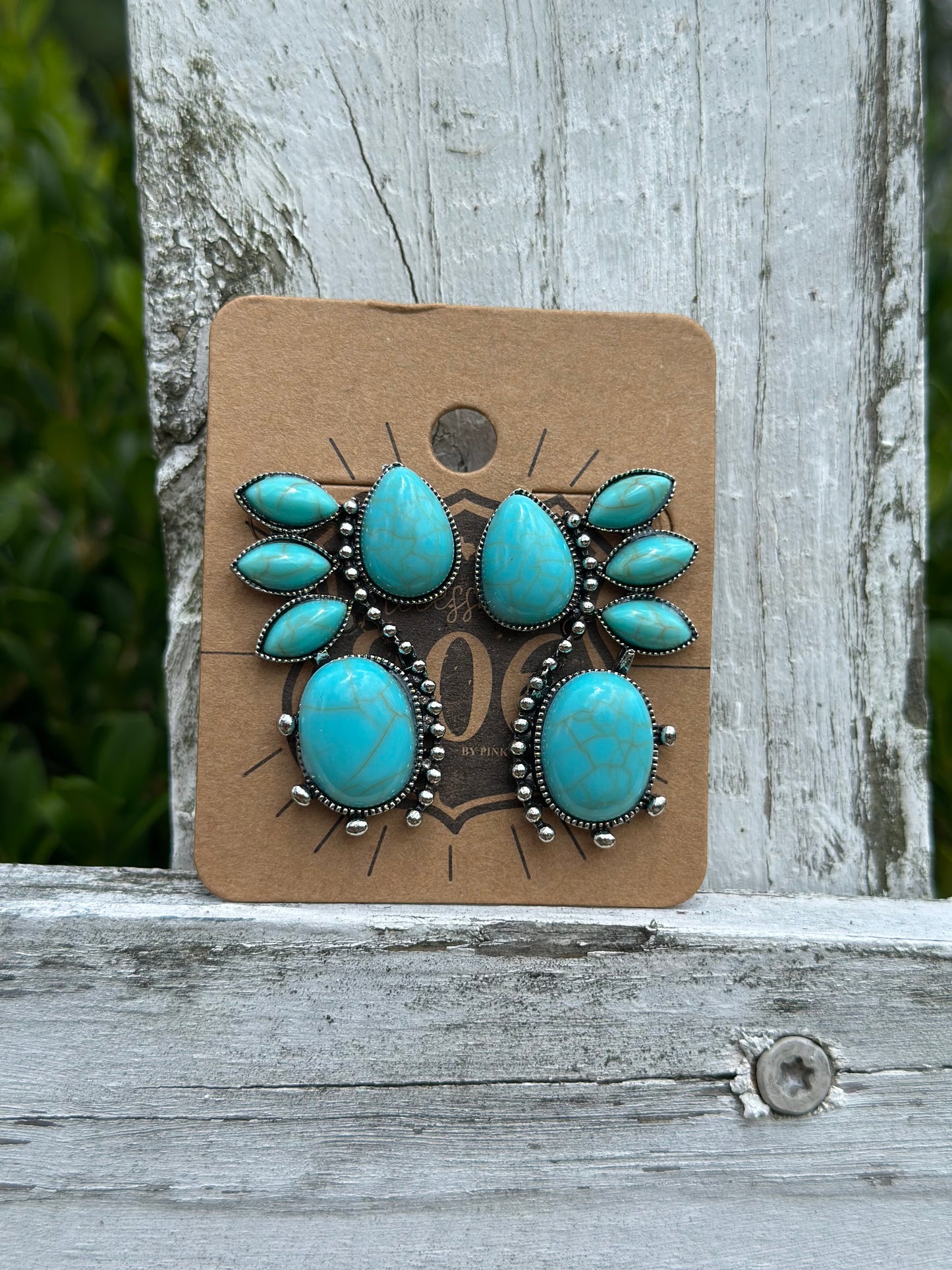 Western Flair Earrings